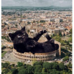 Cat memes - cat in colosseum