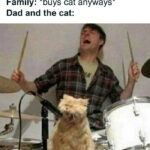 Cat memes - cat dad