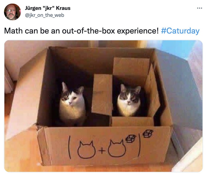 Cat memes - cats in boxes