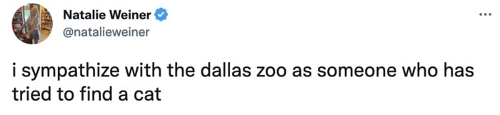 Dallas Zoo Missing Clouded Leopard Tweets Memes - lost cat