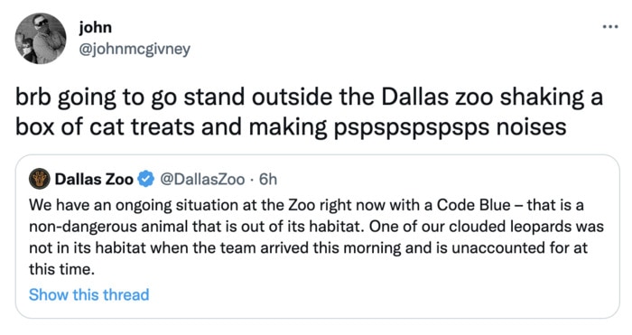 Dallas Zoo Missing Clouded Leopard Tweets Memes - treat box