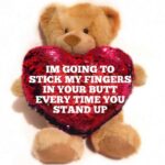 Funny Valentine's Day Gifts - Customizable Teddy Bear