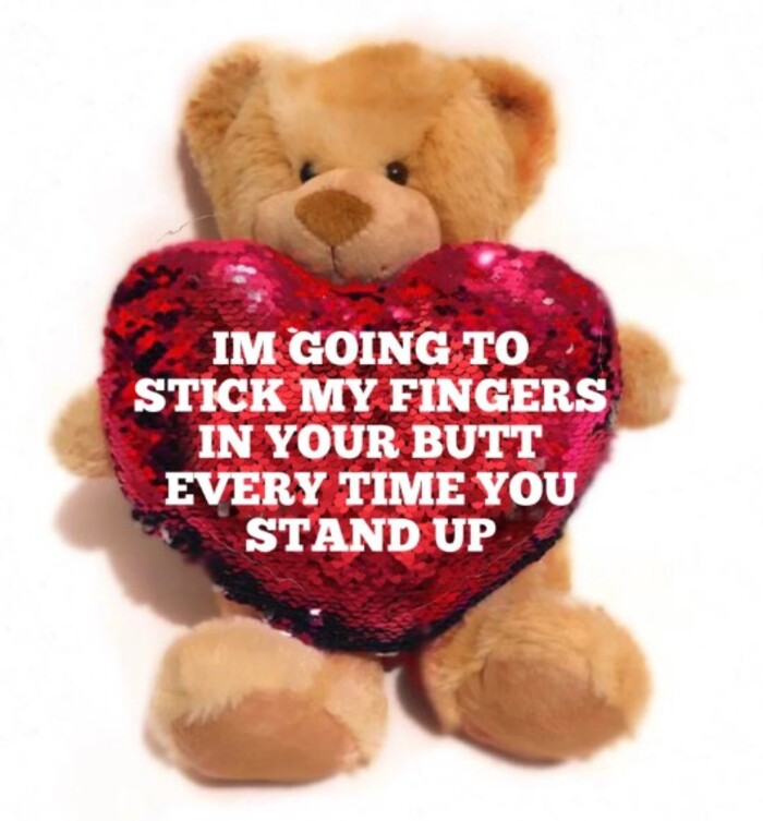 Funny Valentine's Day Gifts - Customizable Teddy Bear