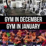 Gym Memes - december vs january