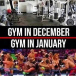 Gym Memes - december vs january