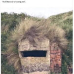 Hilarious Memes - Rod Stewart wall