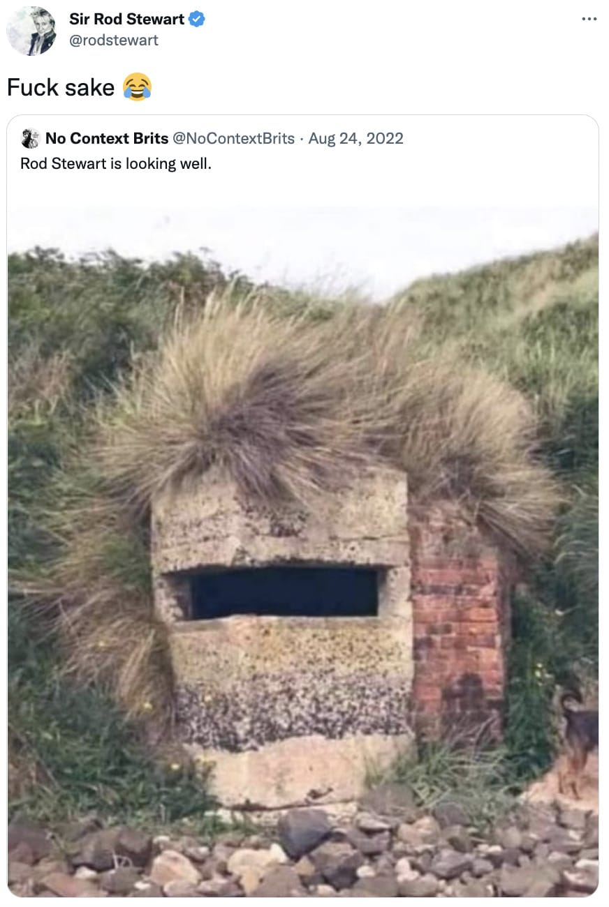 Hilarious Memes - Rod Stewart wall