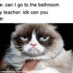 Hilarious Memes - grumpy cat may vs can