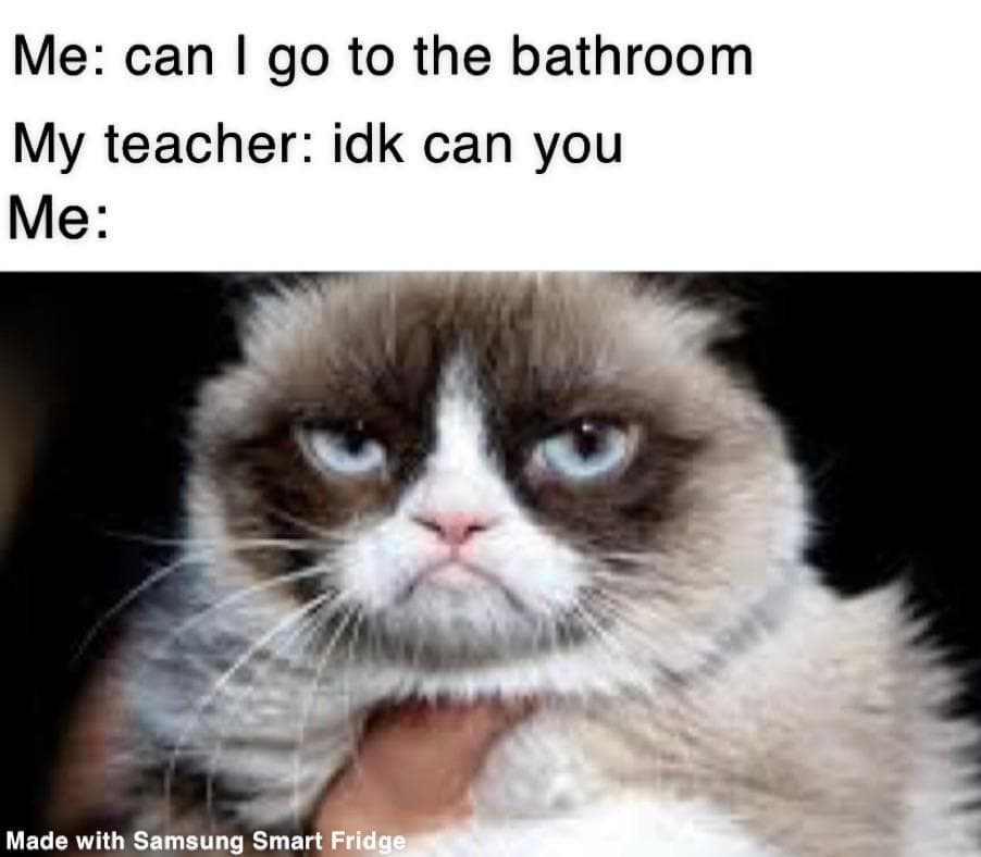 Hilarious Memes - grumpy cat may vs can