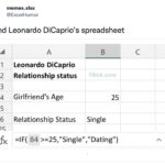 Hilarious Memes - leonardo dicaprio excel sheet