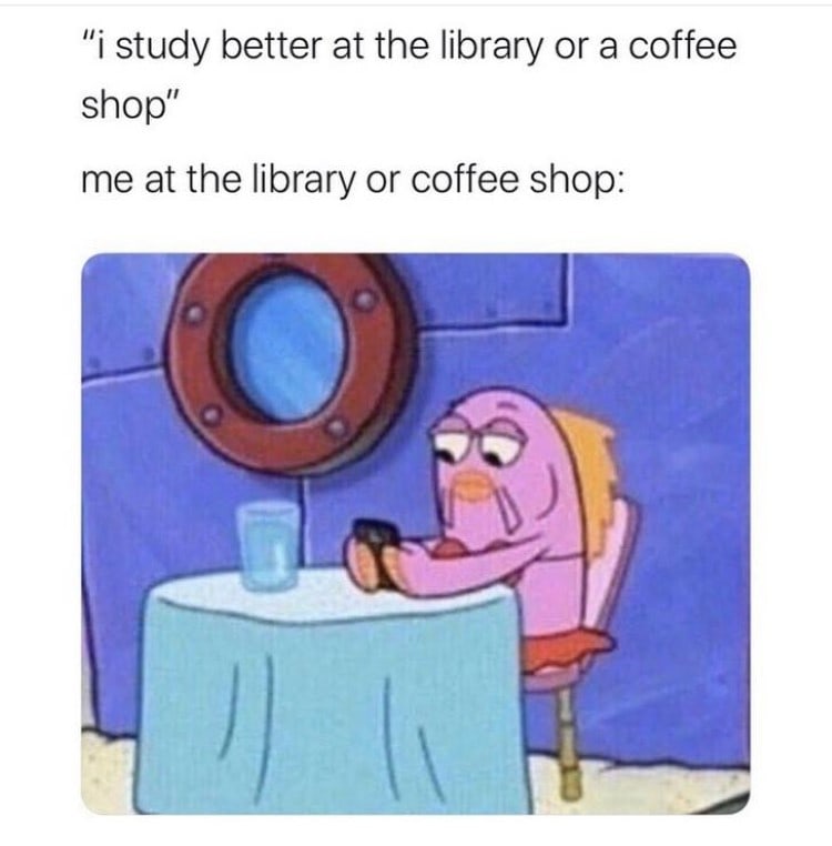 Hilarious Memes - spongebob studying