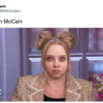 m3gan tweets memes - m3gan mccain