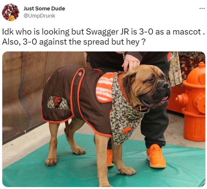 NFL Football Mascots Ranked - Cleveland Browns - Swagger Jr.