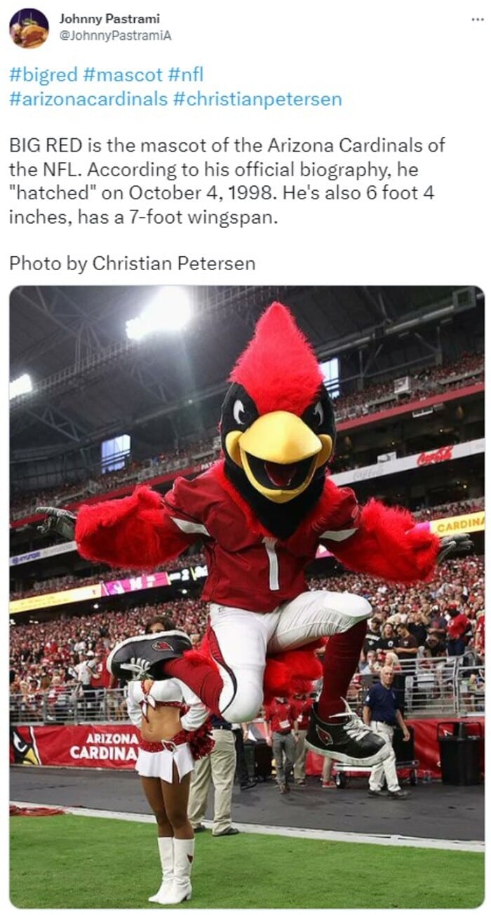 NFL Football Mascots Ranked - Arizona Cardinals - Big Red