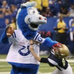 NFL Football Mascots Ranked - Indianapolis Colts - Blue