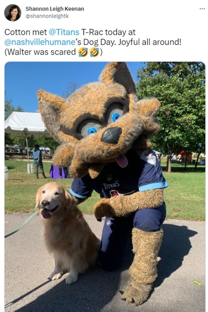 NFL Football Mascots Ranked - Tennessee Titans - T-Rac