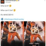 NFL Football Mascots Ranked - Cincinnati Bengals - Who Dey