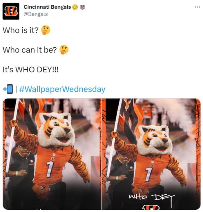 NFL Football Mascots Ranked - Cincinnati Bengals - Who Dey