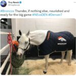 NFL Football Mascots Ranked - Denver Broncos - Thunder II