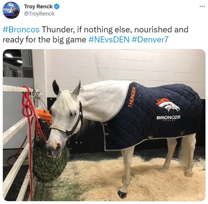 NFL Football Mascots Ranked - Denver Broncos - Thunder II