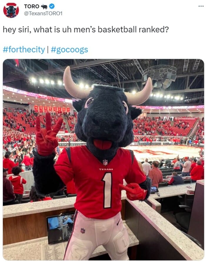 NFL Football Mascots Ranked - Houston Texans - Toro
