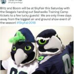 NFL Football Mascots Ranked - Seattle Seahawks - Blitz and Boom