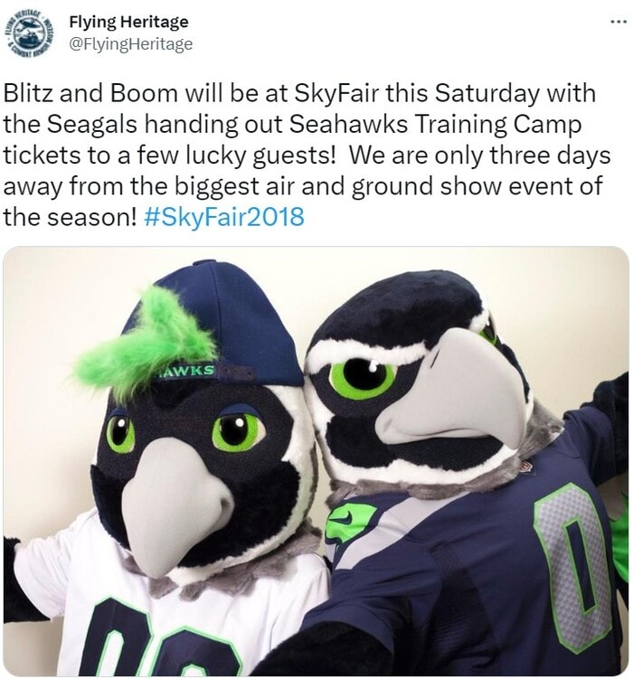 NFL Football Mascots Ranked - Seattle Seahawks - Blitz and Boom