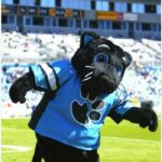NFL Football Mascots Ranked - Carolina Panthers - Sir Purr