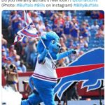 NFL Football Mascots Ranked - Buffalo Bills - Billy Buffalo