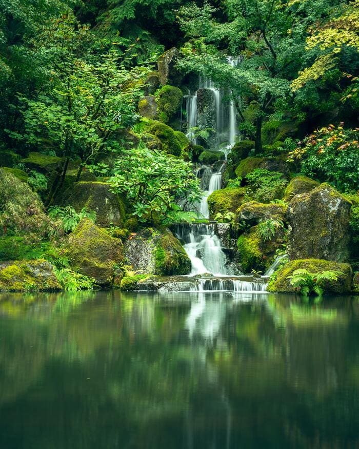 Riddles for Adults - river in jungle