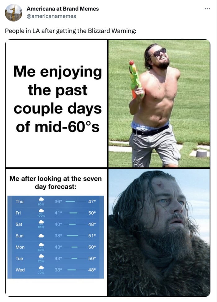 Blizzard Warning Los Angeles - Leonardo DiCaprio