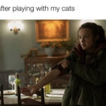 The Last of Us Episode 4 Tweets Memes - Bella cats