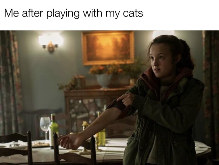 The Last of Us Episode 4 Tweets Memes - Bella cats