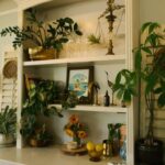 Apothecary aesthetic - kitchen cabinets with plants