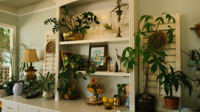 Apothecary aesthetic - kitchen cabinets with plants