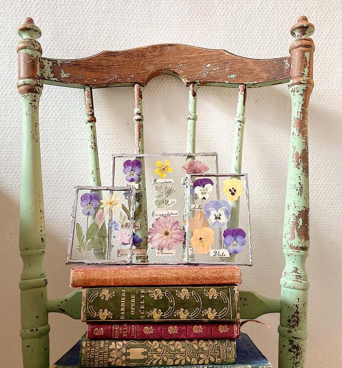 Apothecary aesthetic - old furniture
