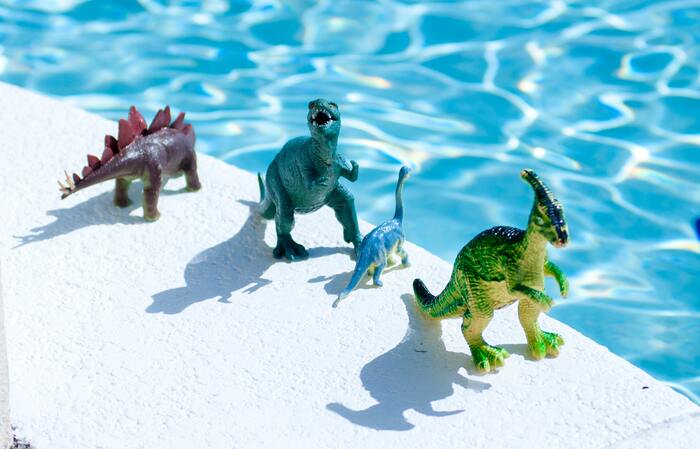 Best Conversation Starters - dinosaurs