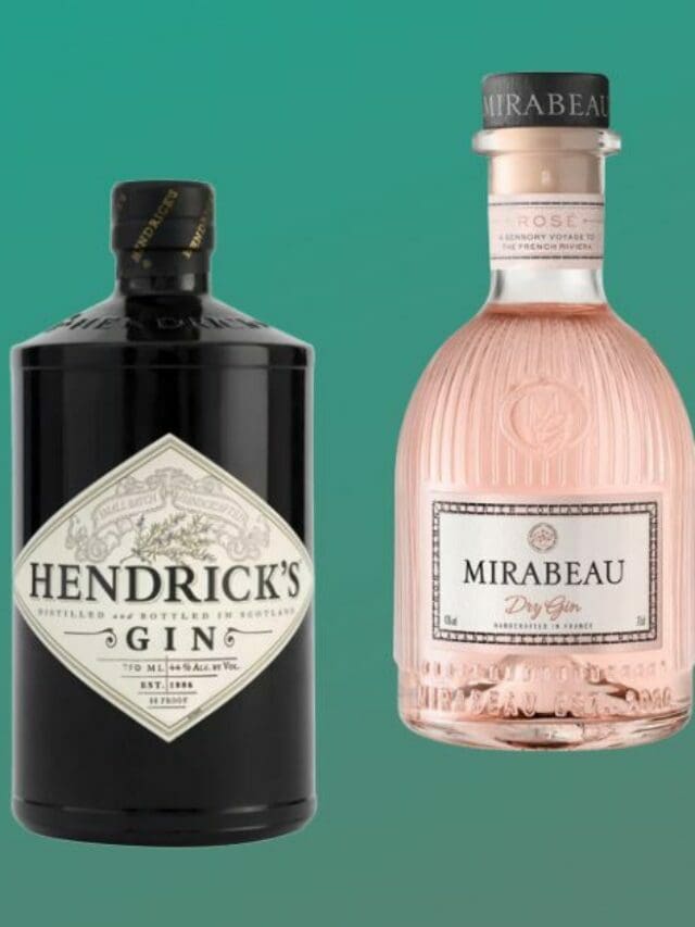 The 18 Best Gin Brands Ranked From Worst to Best