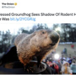 Groundhog Day Memes - shadow of who he was