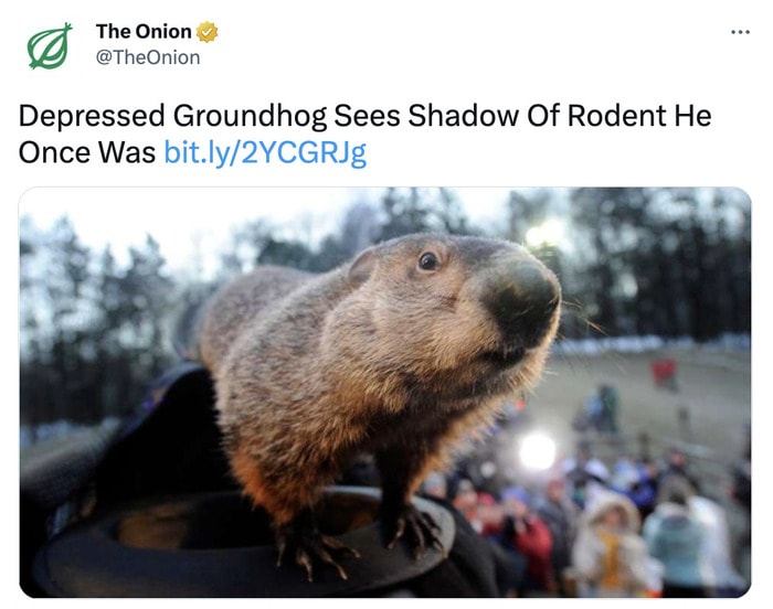 Groundhog Day Memes - shadow of who he was