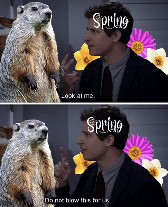 Groundhog Day Memes - spring