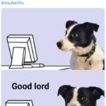 You Season 4 Memes Tweets - first 30 minutes