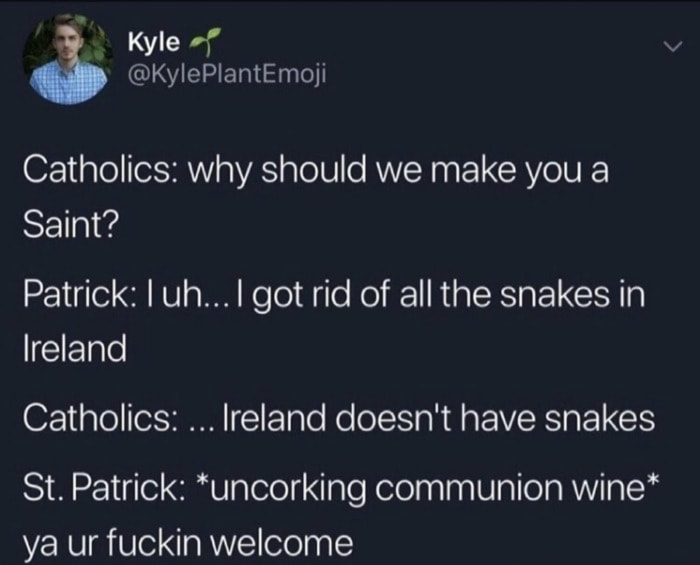 St Patrick's Day Memes - snakes