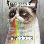 St Patrick's Day Memes - grumpy cat ate leprechaun