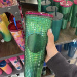 Starbucks Spring Cups Tumblers 2023 - Green Watermelon Tumbler