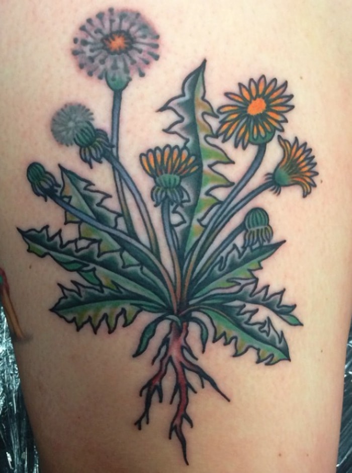 Flower tattoos- Dandelion Tattoo