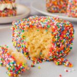 Rainbow desserts- Fairy Bread Lamingtons