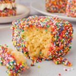 Rainbow desserts- Fairy Bread Lamingtons