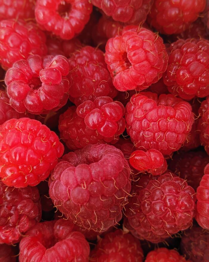 Is Starbucks Discontinuing Raspberry Syrup - raspberries