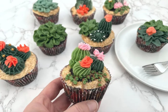 Wildflower cupcakes- succulent cupcake